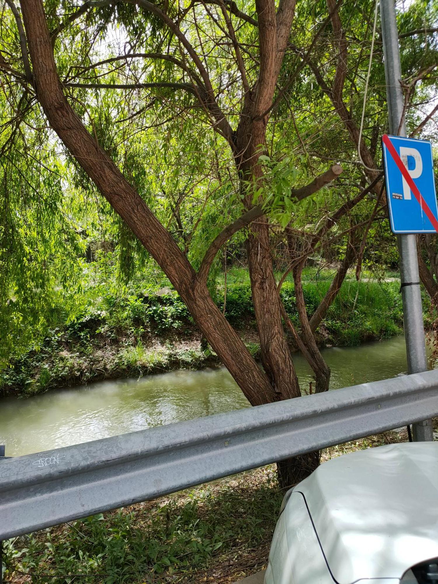 Cozy Apartment Bucharest Roşu Dış mekan fotoğraf